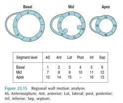 lv function grading|lv function echo cardiology.